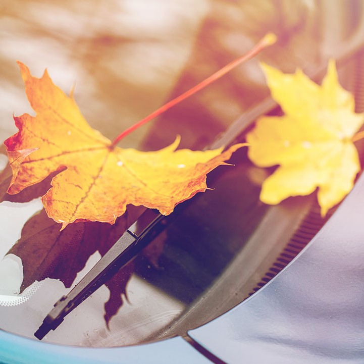 Fall Leaf Peeping Day Trips From New York City Auto Care East